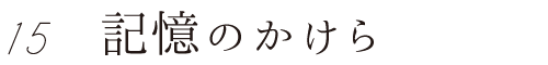 15 記憶のかけら